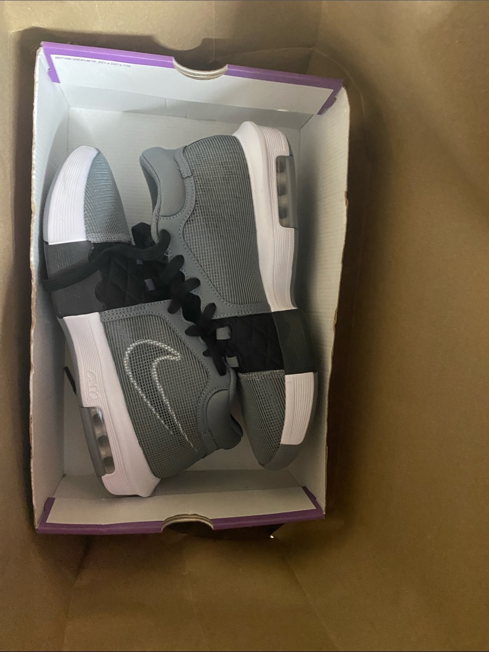 Nike Grey and Black Low-Top Sneakers
